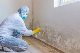  Bethlehem, PA Mold Remediation Pros